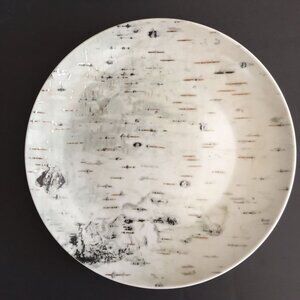 Pottery Barn Organic Birch Salad Plates (4 ) discontinued 8 1/4" Modern Woodland